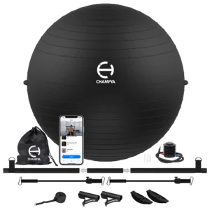 Exercise Ball and Pilates Bar Set