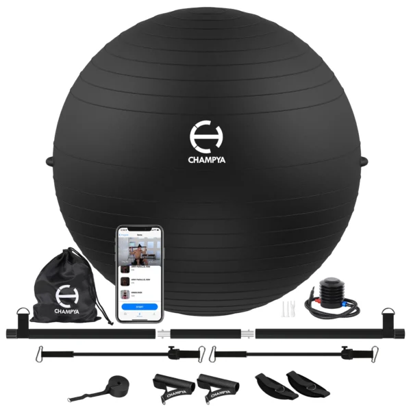 Exercise Ball and Pilates Bar Set