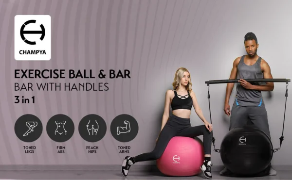 Exercise Ball and Pilates Bar Set - Image 3